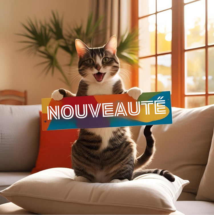 Nouveautés