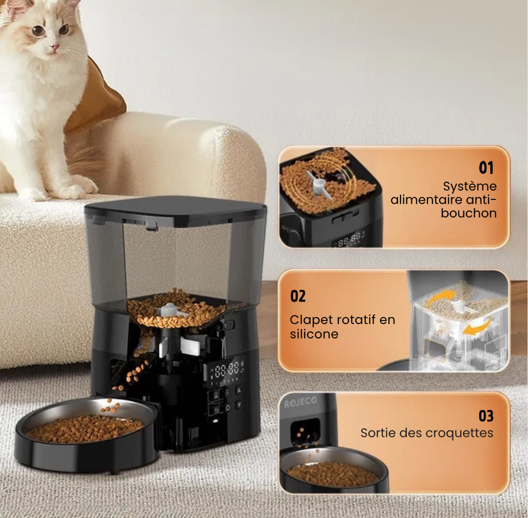 Distributeur automatique de croquettes pour chat