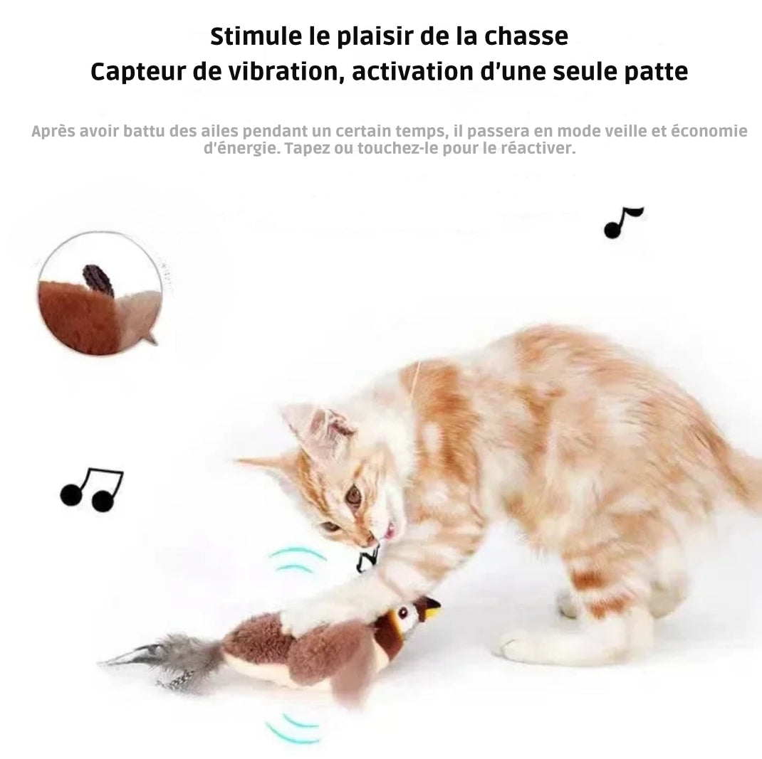 Oiseaux interactif