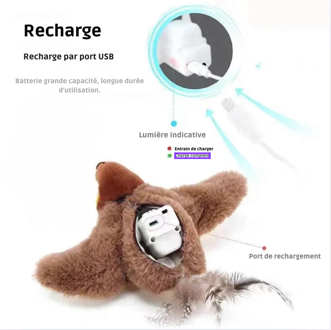 Oiseaux interactif