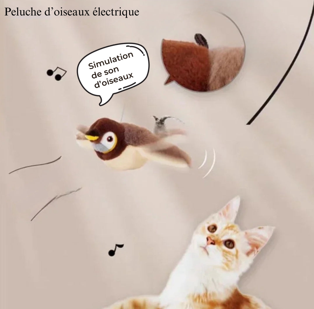 Oiseaux interactif