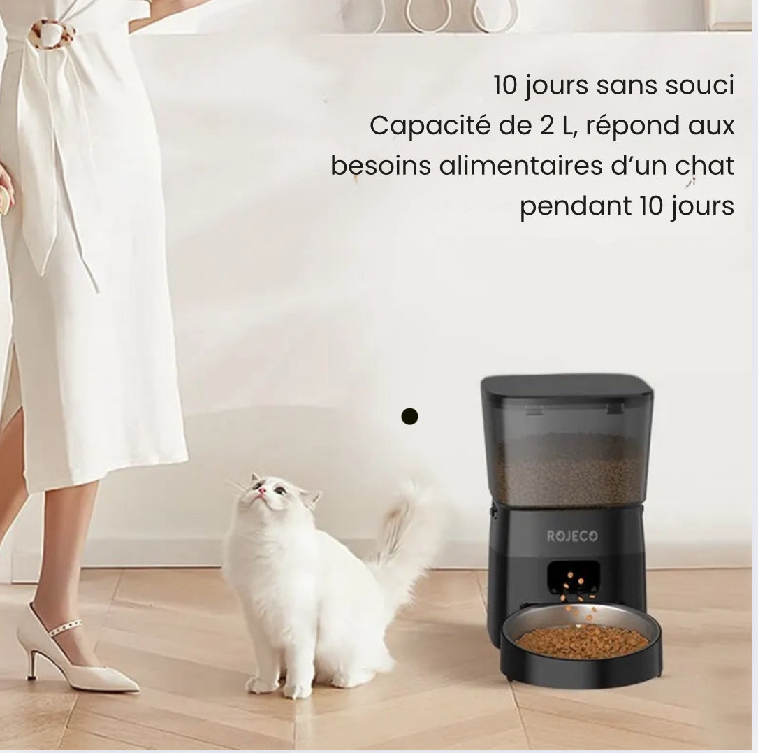 Distributeur automatique de croquettes pour chat