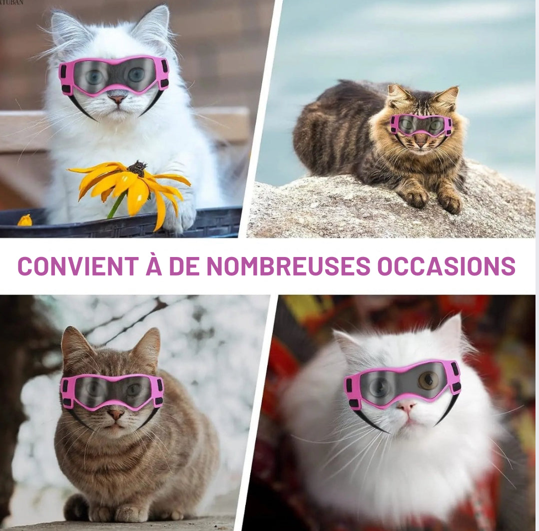 Lunettes de soleil