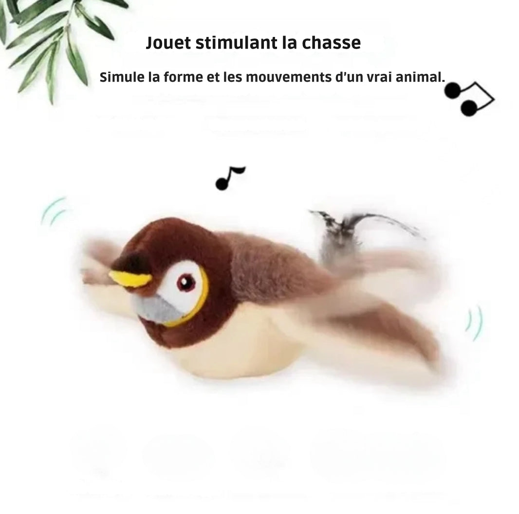 Oiseaux interactif