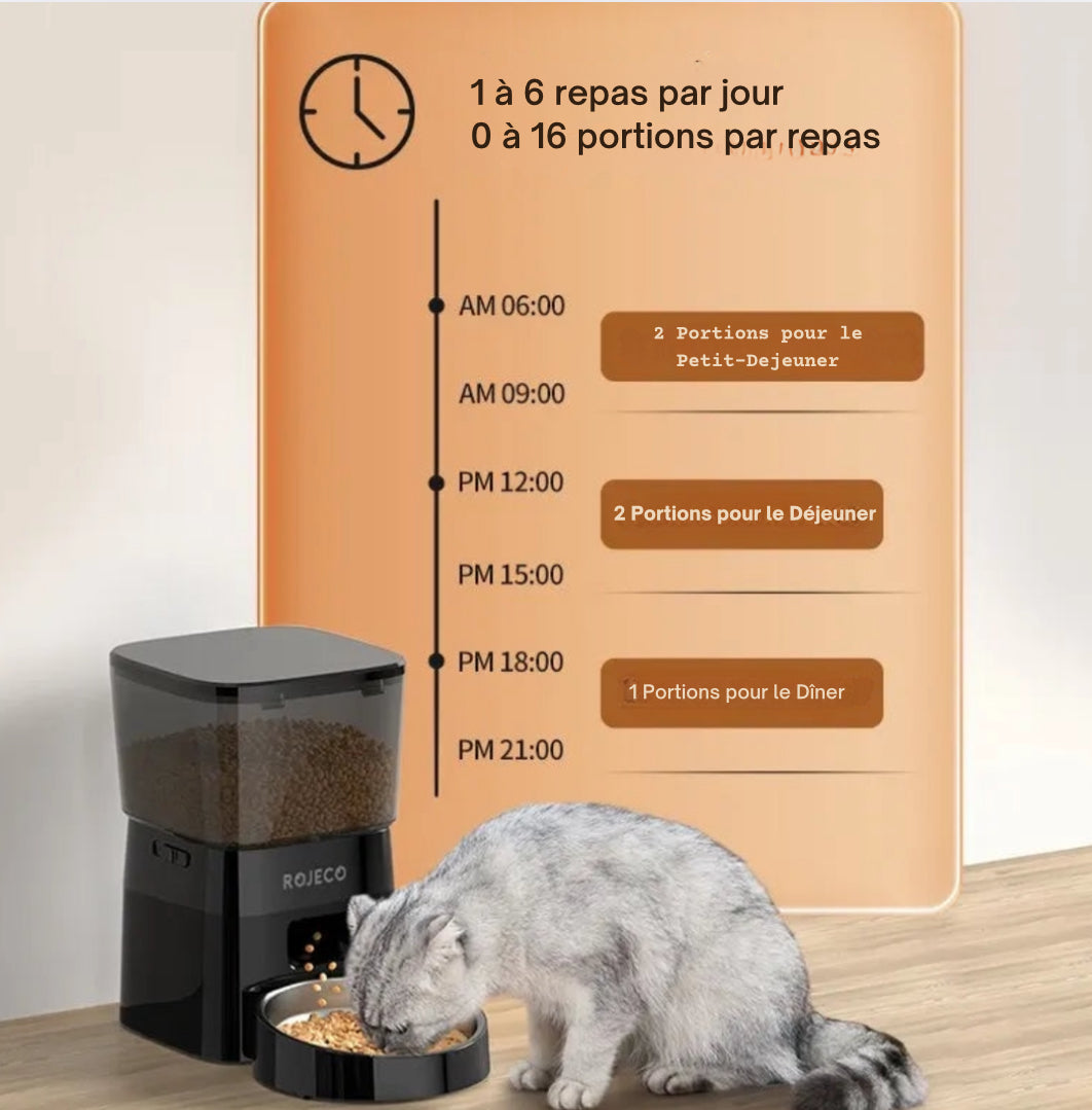 Distributeur automatique de croquettes pour chat