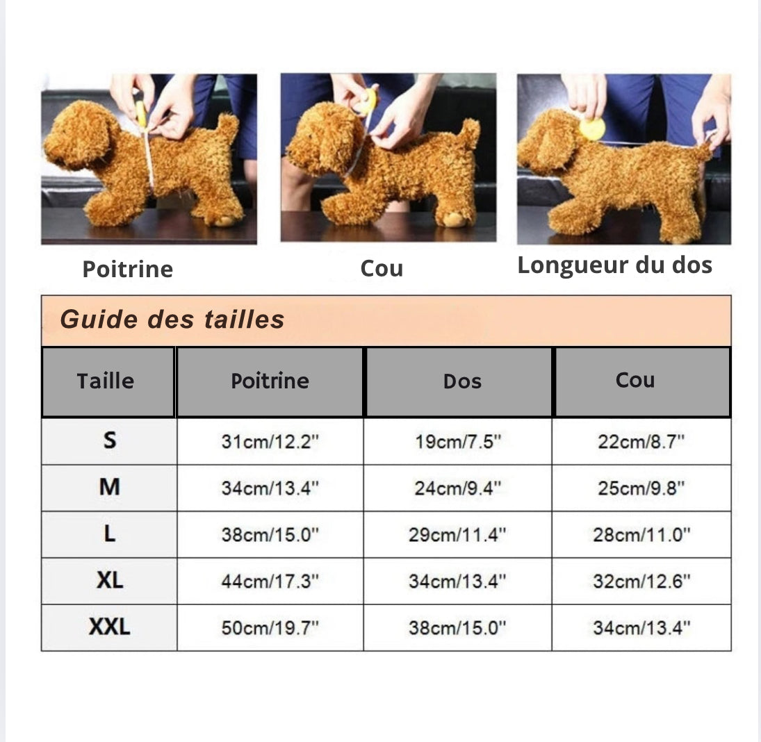 Costume élégant