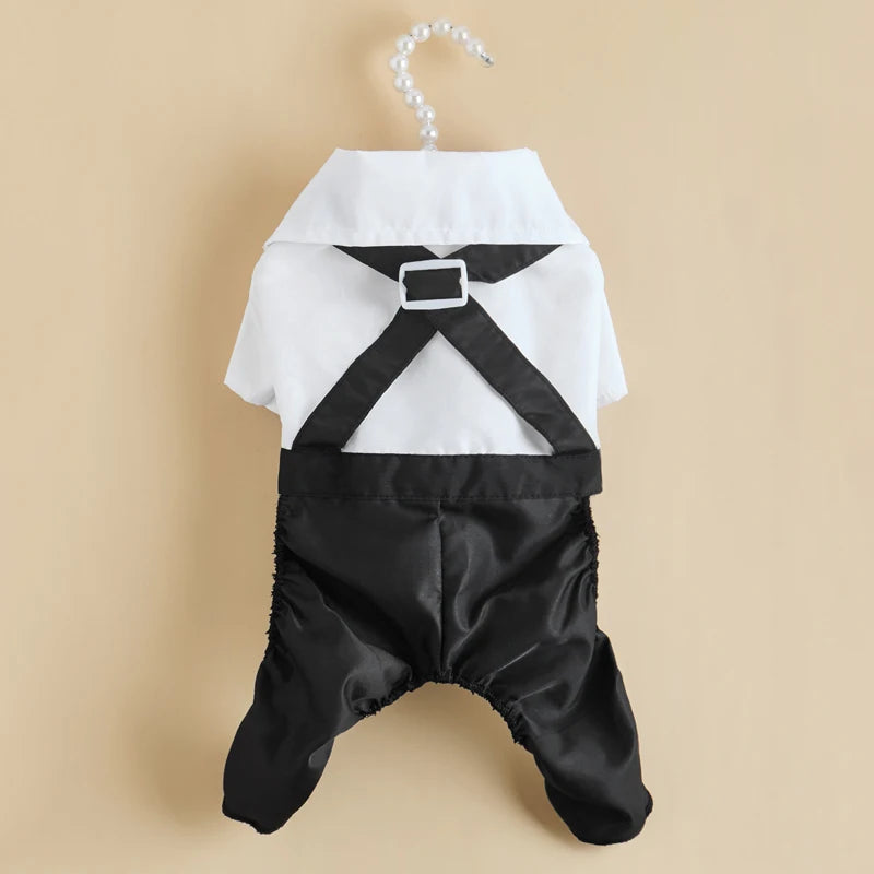 Costume élégant