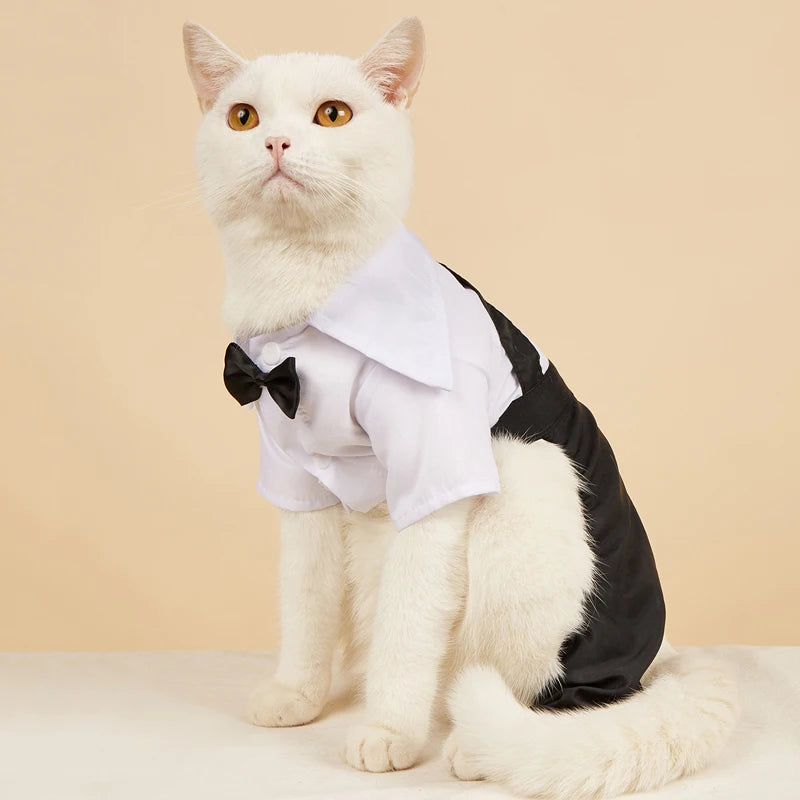 Costume élégant