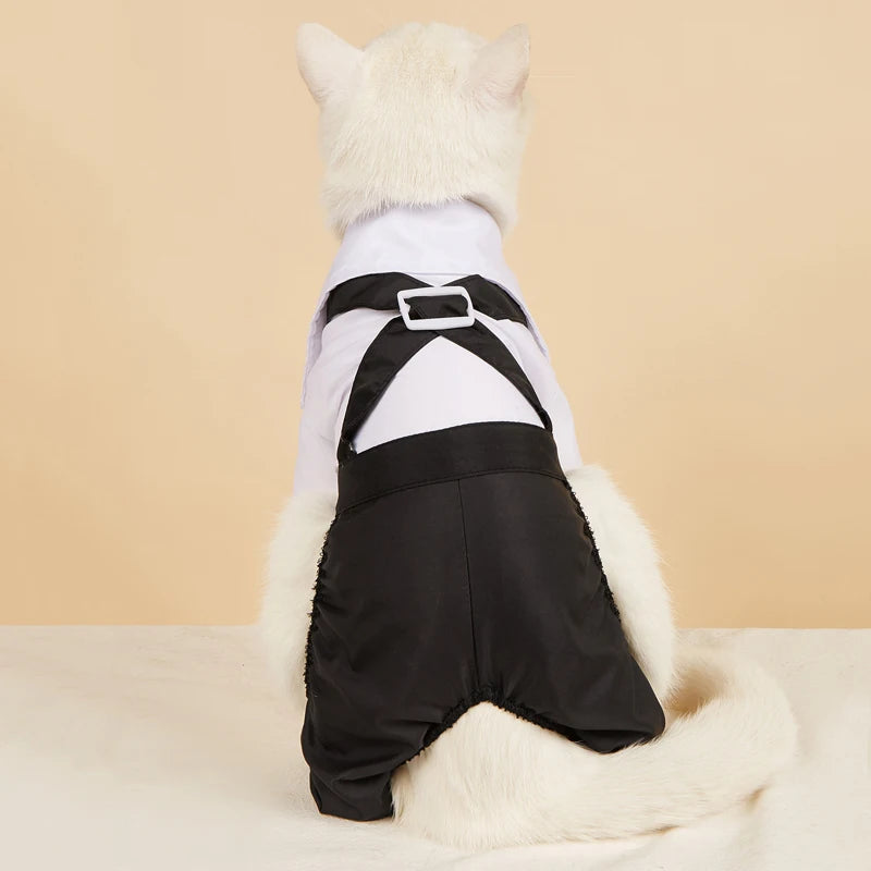 Costume élégant