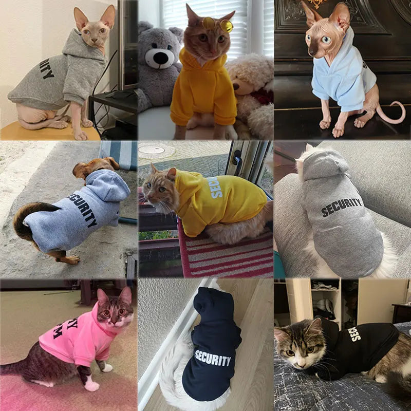 Manteau doux et stylé pour chats