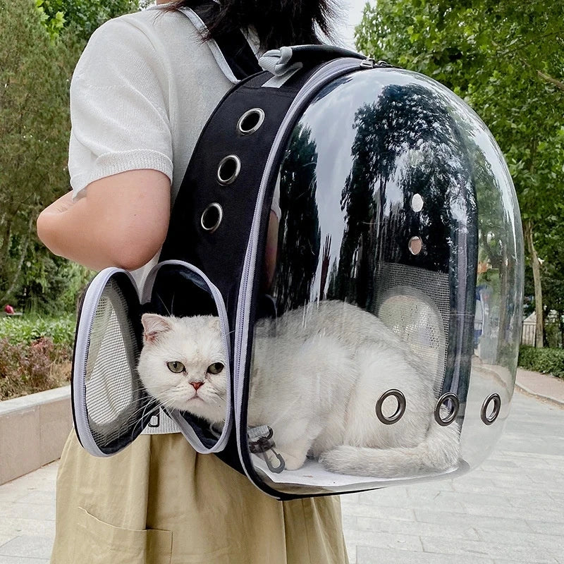 Sac à dos transparent pour chat
