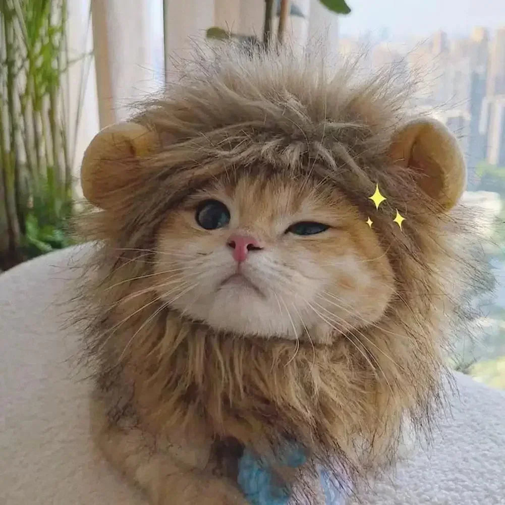 Chapeau lion adorable