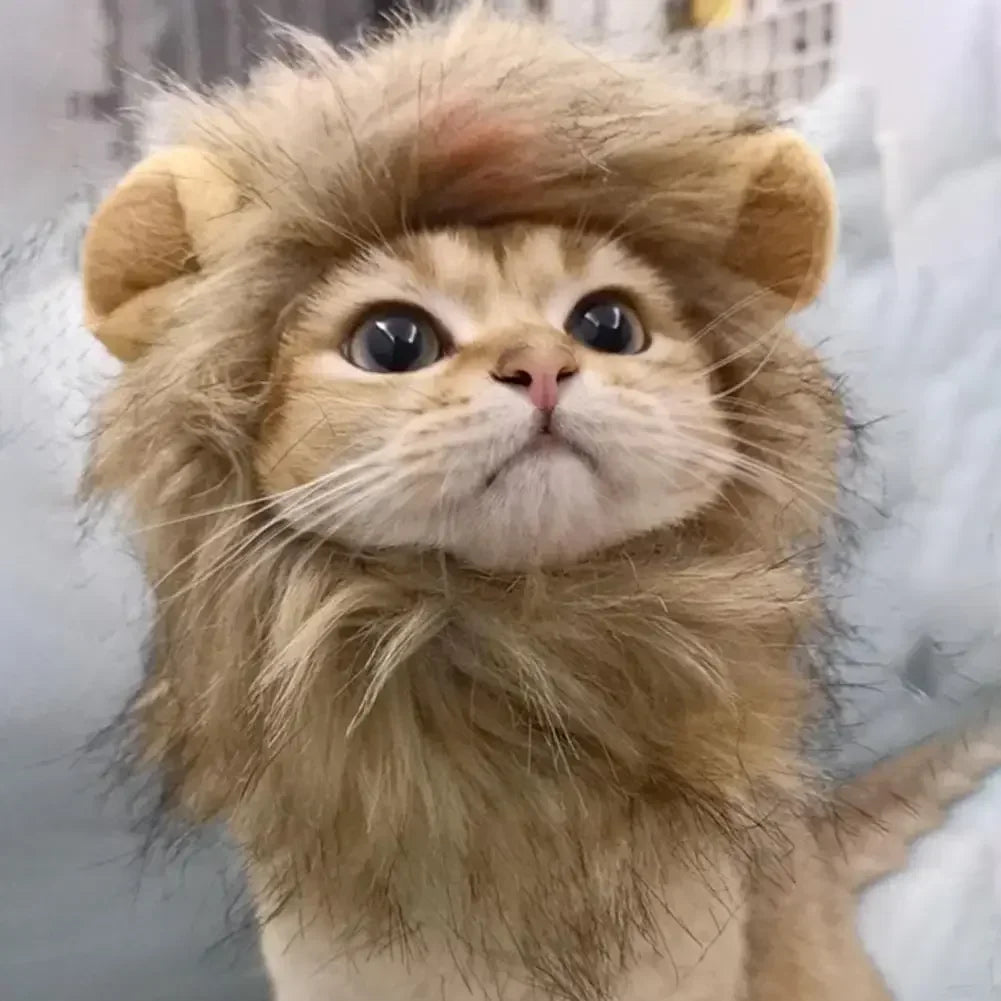 Chapeau lion adorable