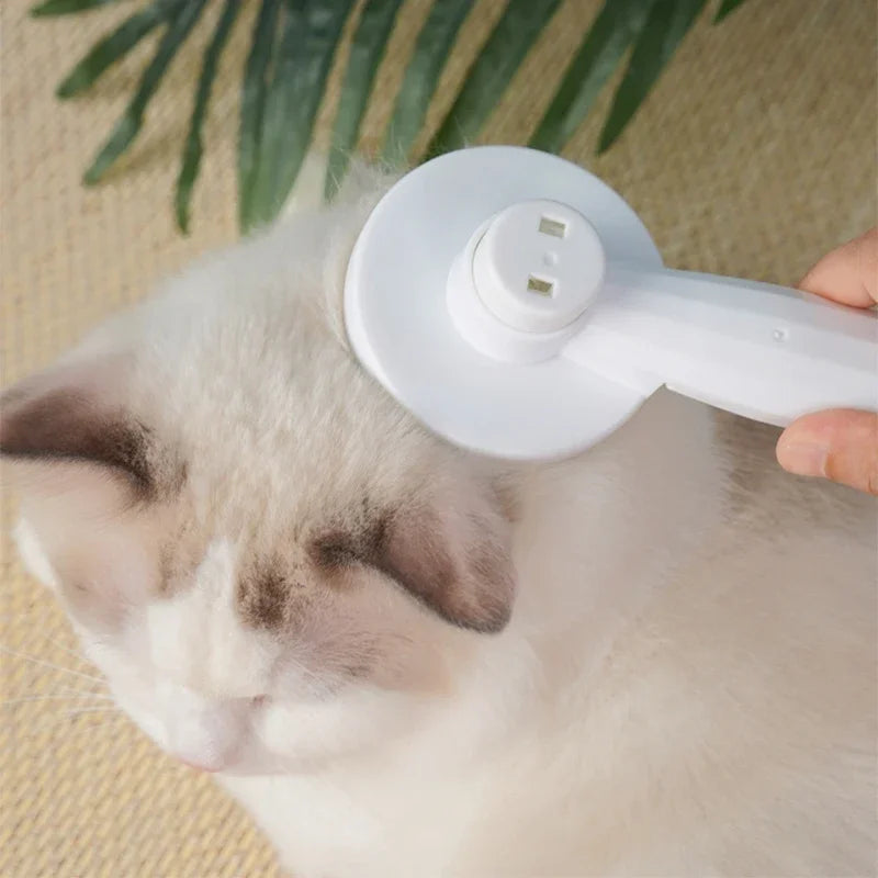Brosse démêlante pour chat