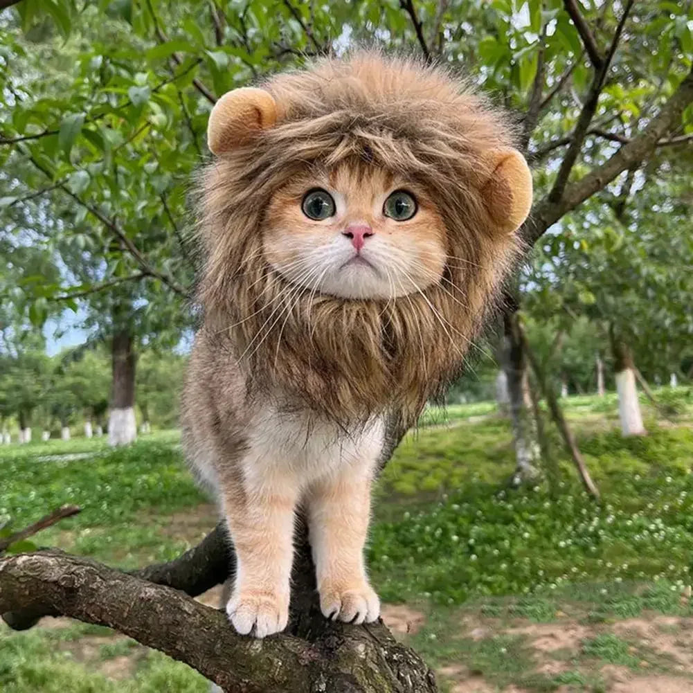Chapeau lion adorable