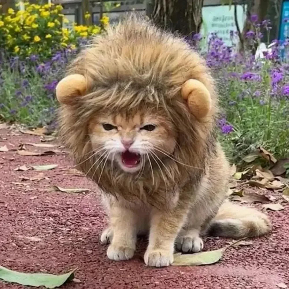 Chapeau lion adorable