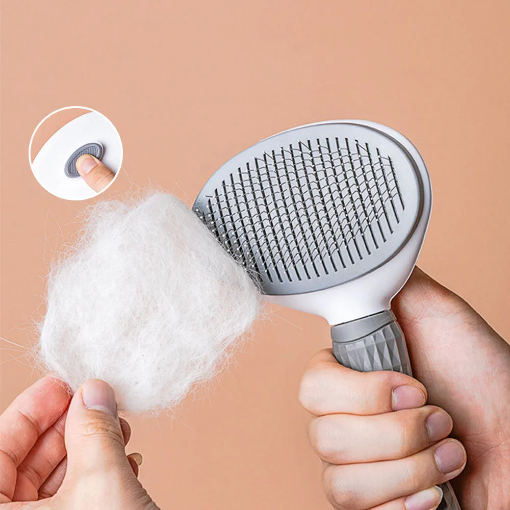 Brosse avec un système démêlant