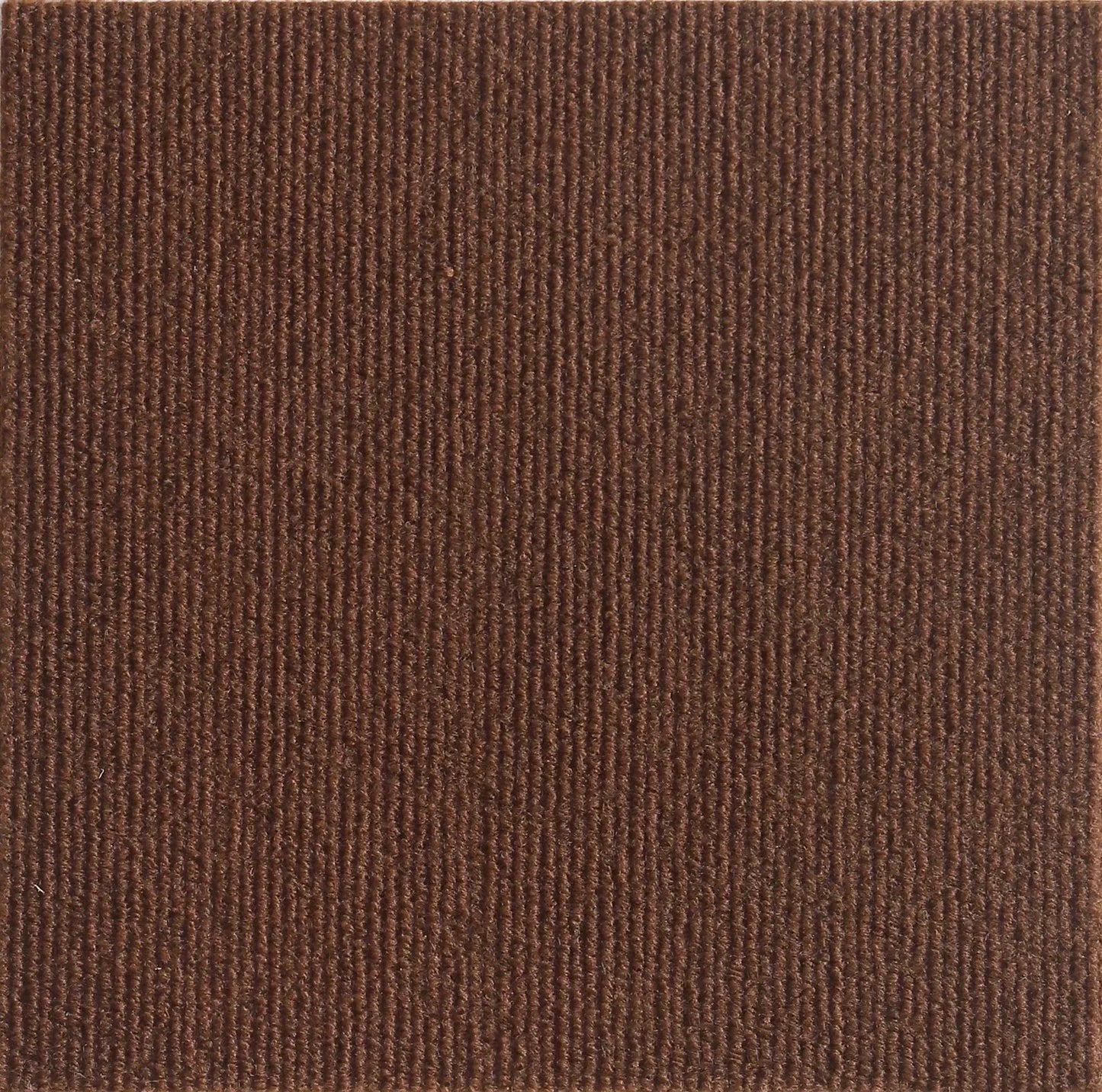 Tapis griffoir pour Chat