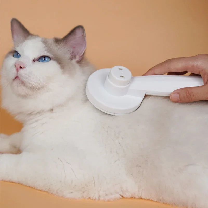 Brosse démêlante pour chat