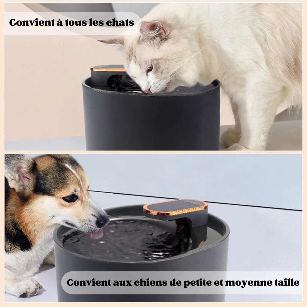 Fontaine à Eau Automatique pour Chat