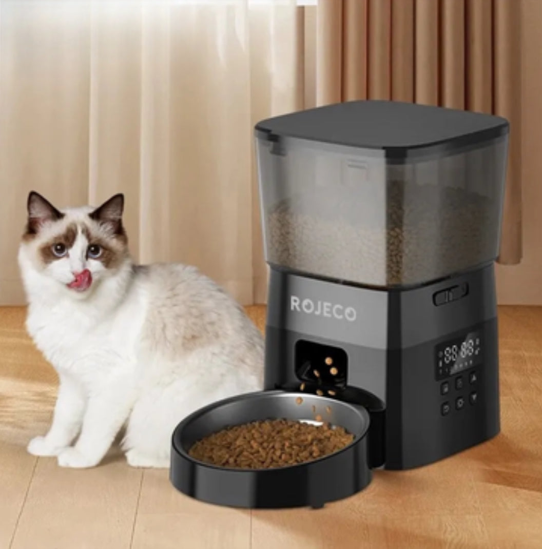 Distributeur automatique de croquettes pour chat