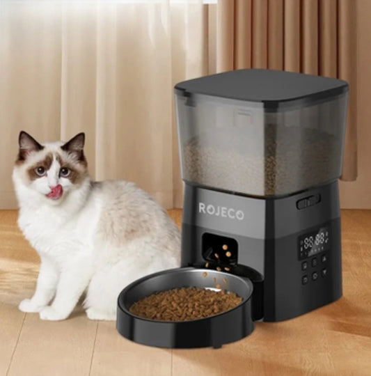 Distributeur automatique de croquettes pour chat