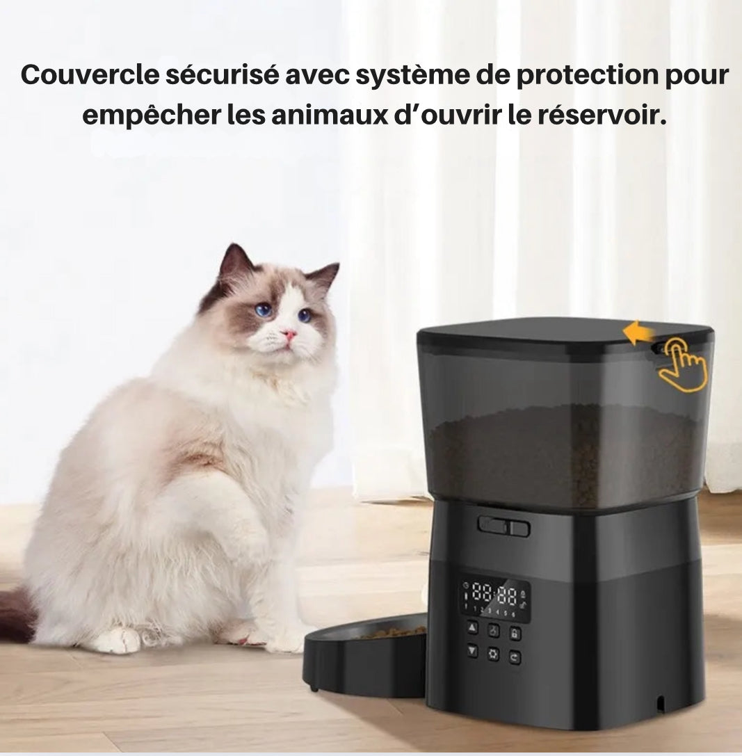 Distributeur automatique de croquettes pour chat