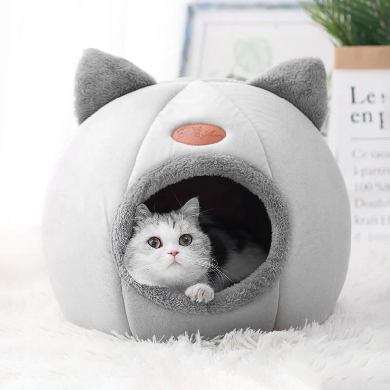 Nid douillet à oreilles de chat