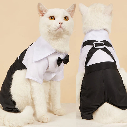 Costume élégant
