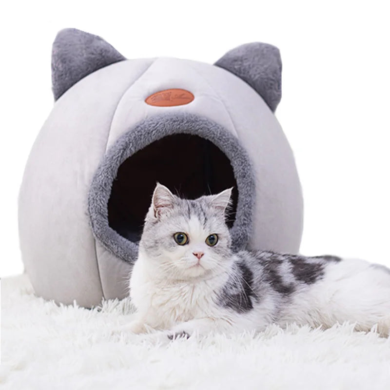Nid douillet à oreilles de chat