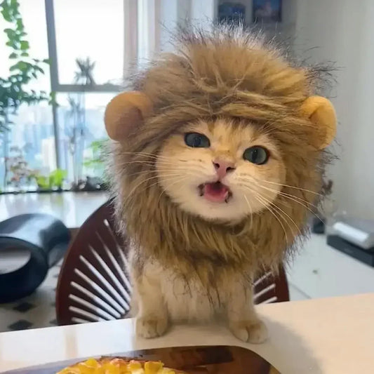 Chapeau lion adorable