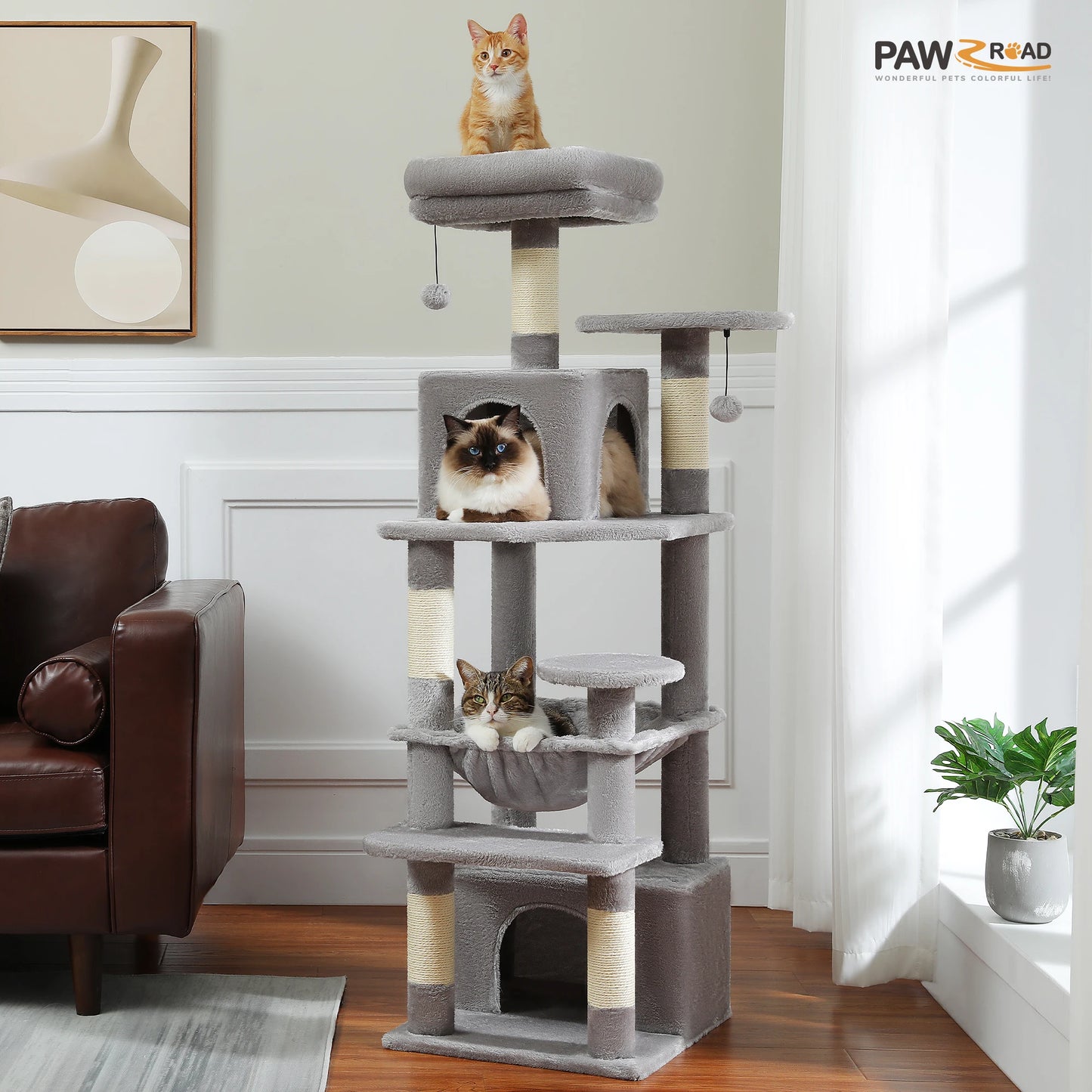Arbre à chat 🙀