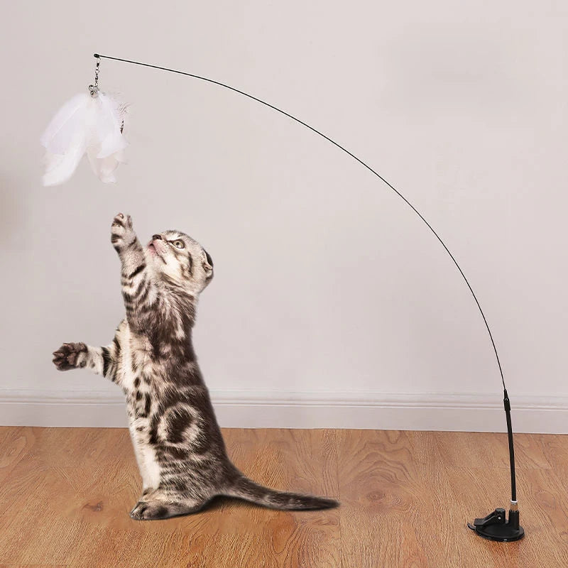 Jouet à plume pour chat