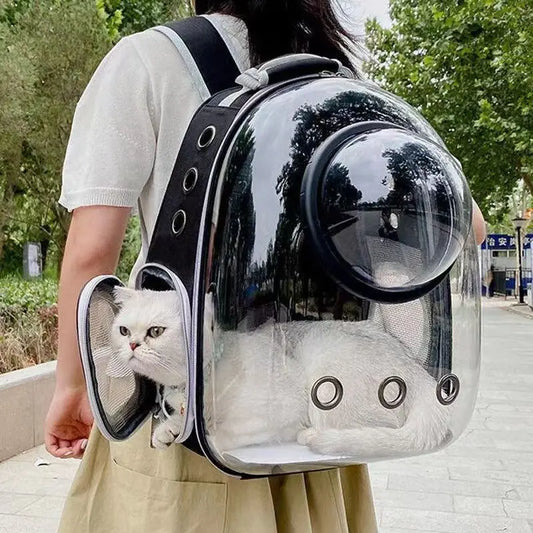 Sac à dos transparent pour chat