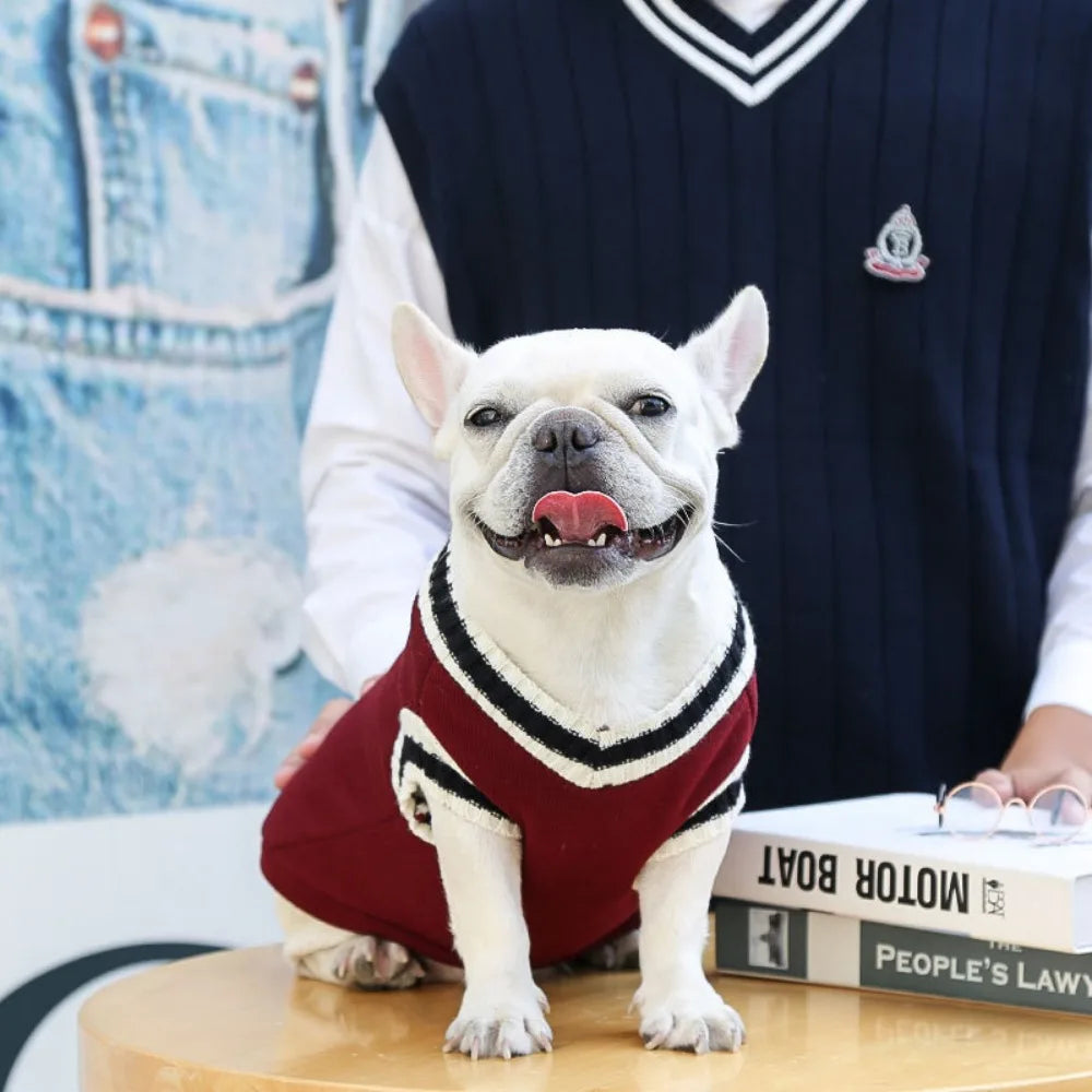 Pull style étudiant USA