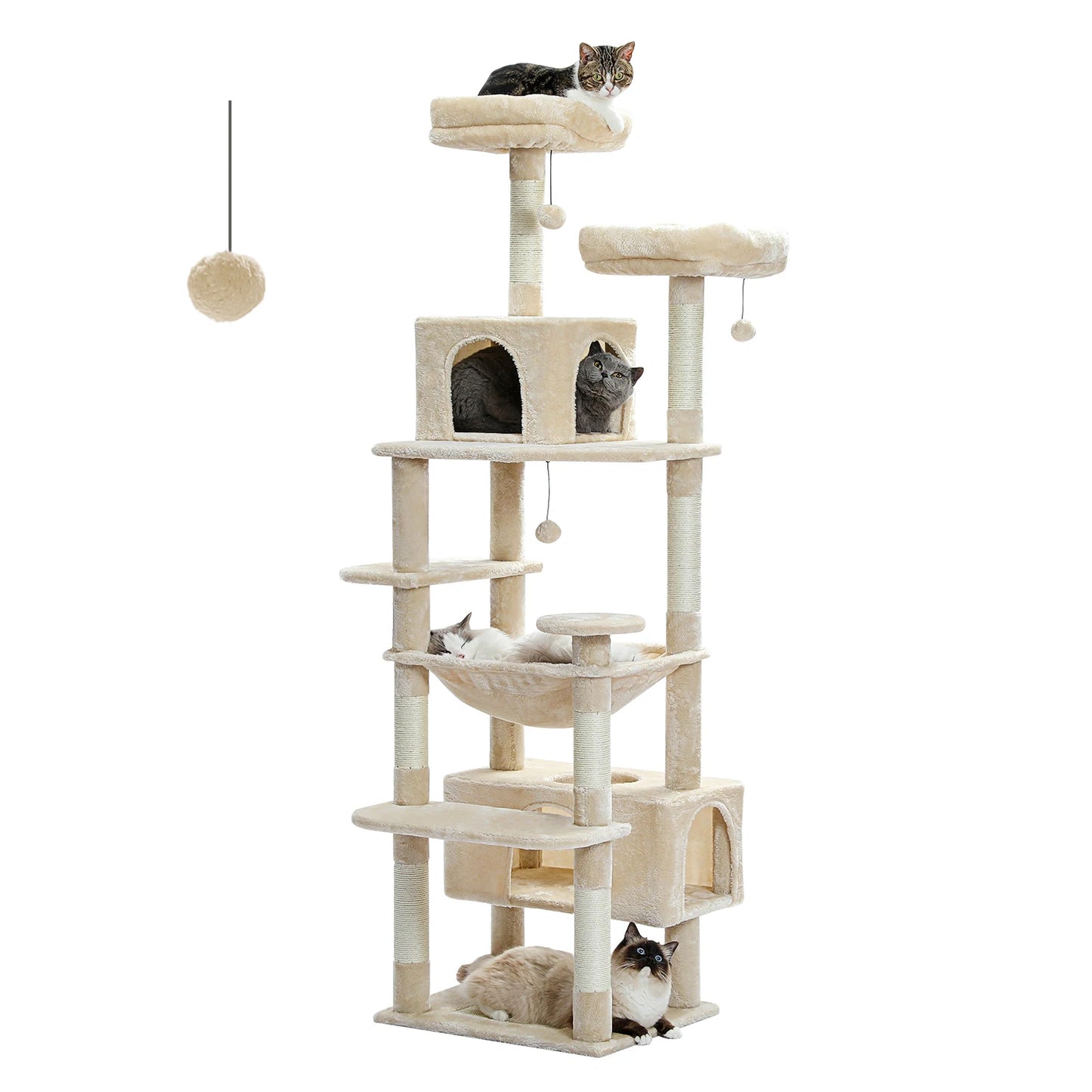 Arbre à chat 🙀