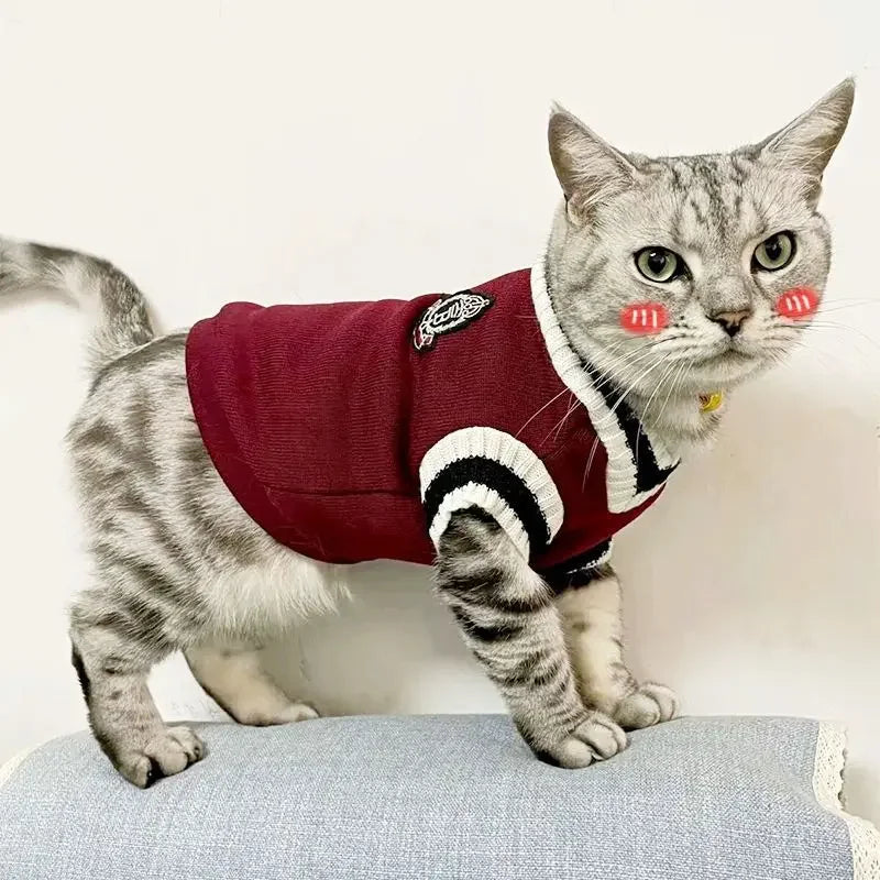 Pull style étudiant USA