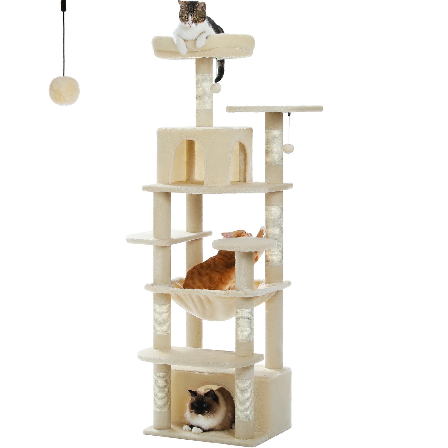 Arbre à chat 🙀