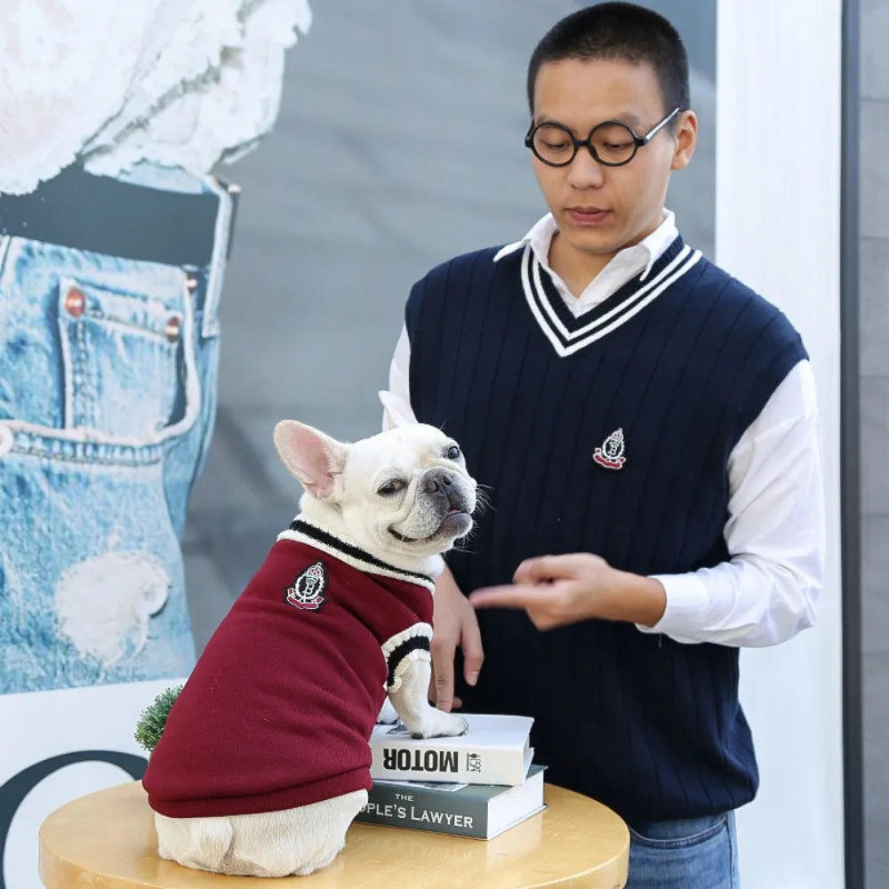 Pull style étudiant USA