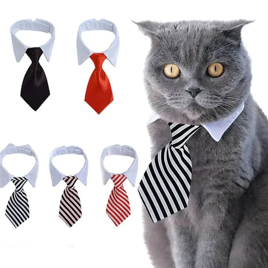 Cravate élégante pour chat