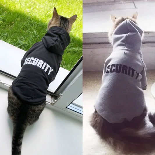 Manteau doux et stylé pour chats