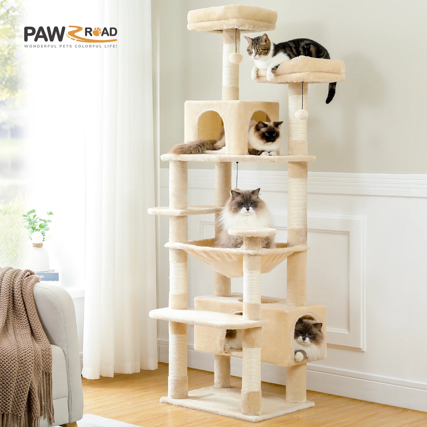 Arbre à chat 🙀