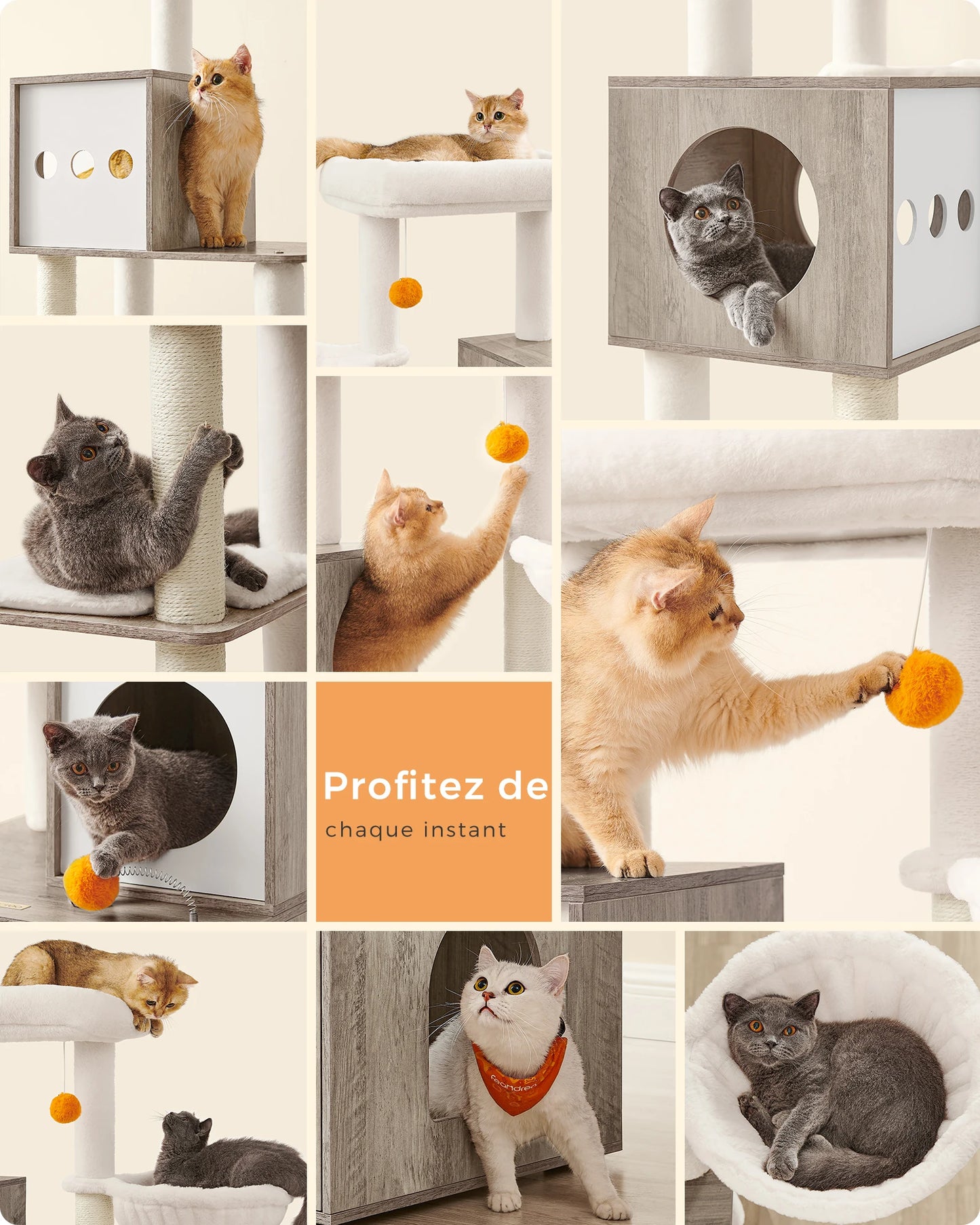 Arbre à chat 185cm / cache litière